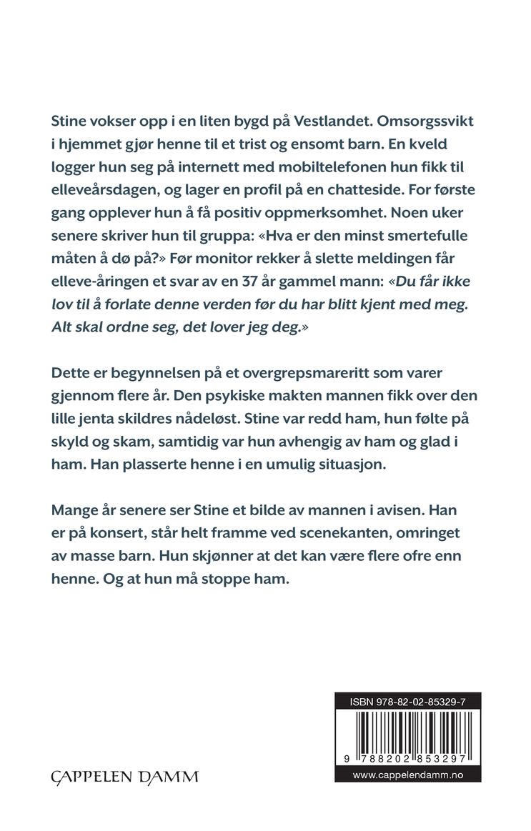 Jakten på en serieovergriper