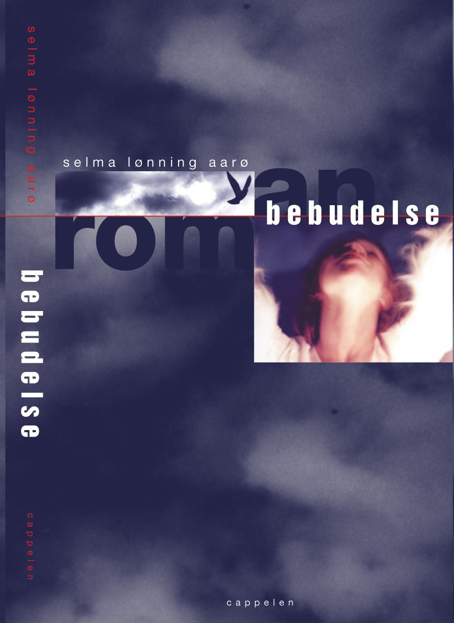 Bebudelse - roman