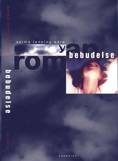 Bebudelse - roman