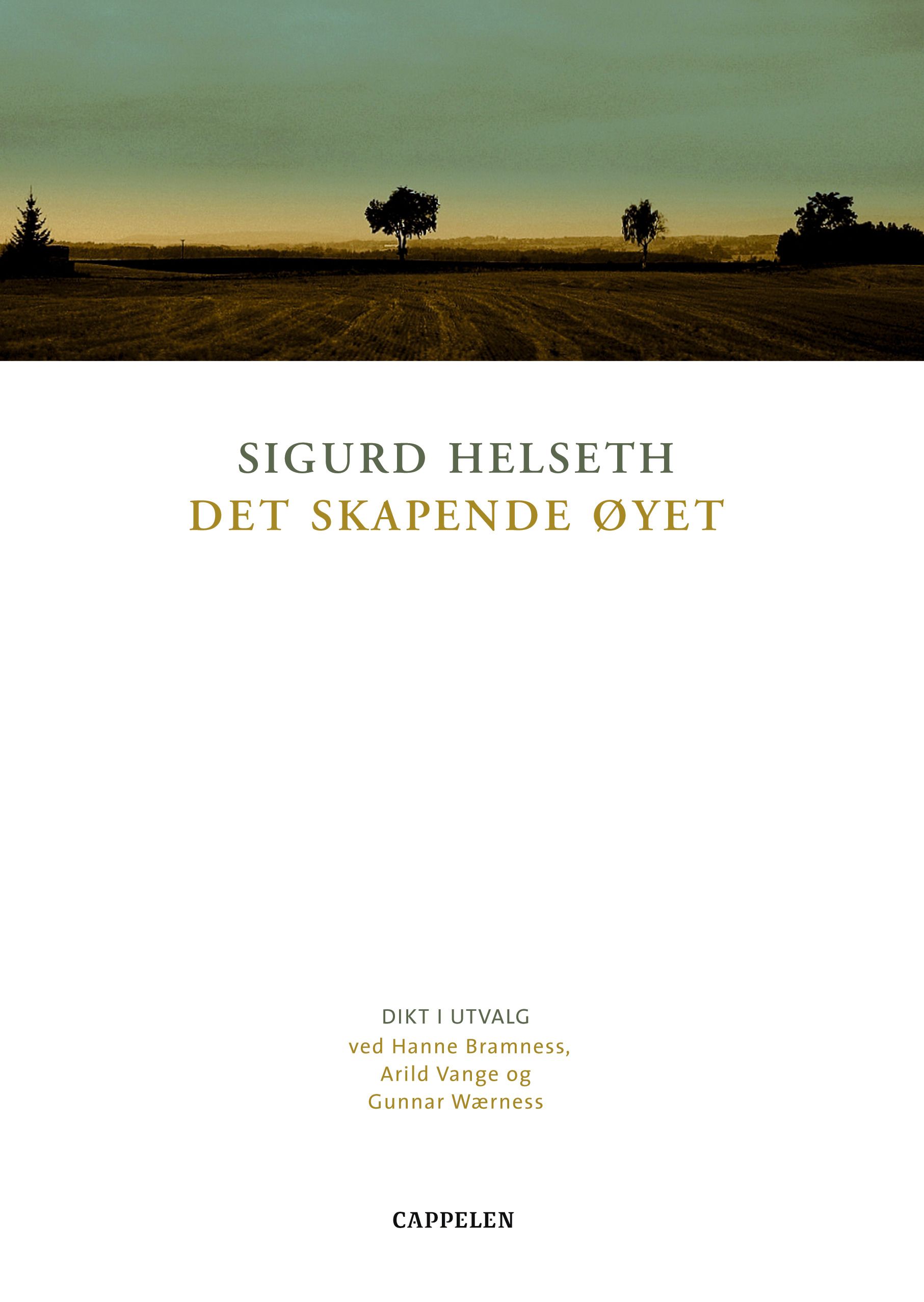 Det skapende øyet