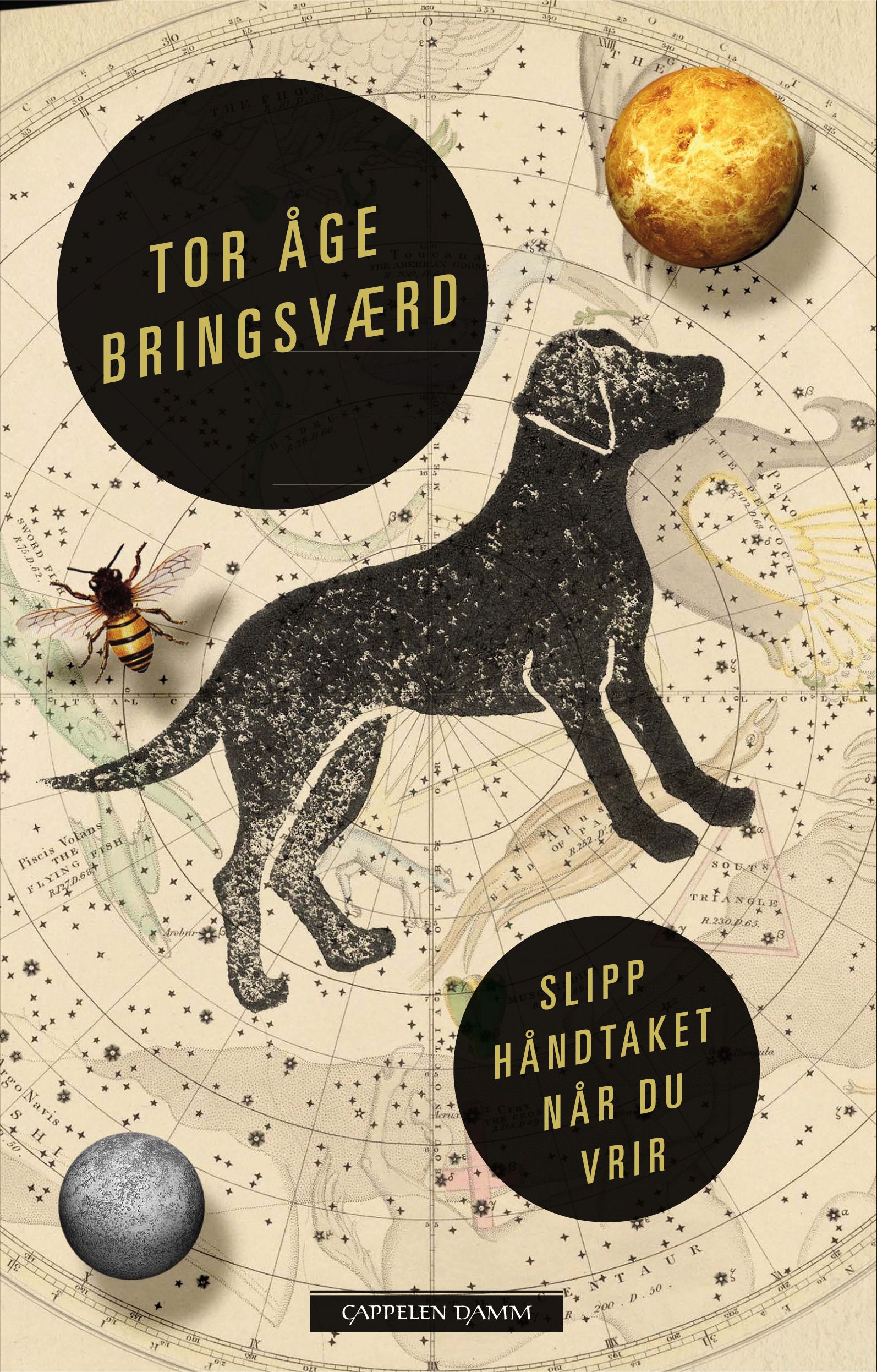 Slipp håndtaket når du vrir - roman