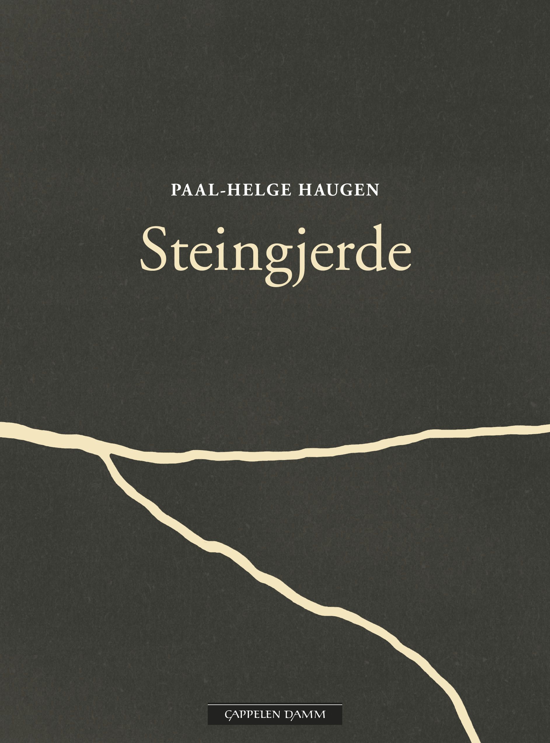 Steingjerde - ein diktroman