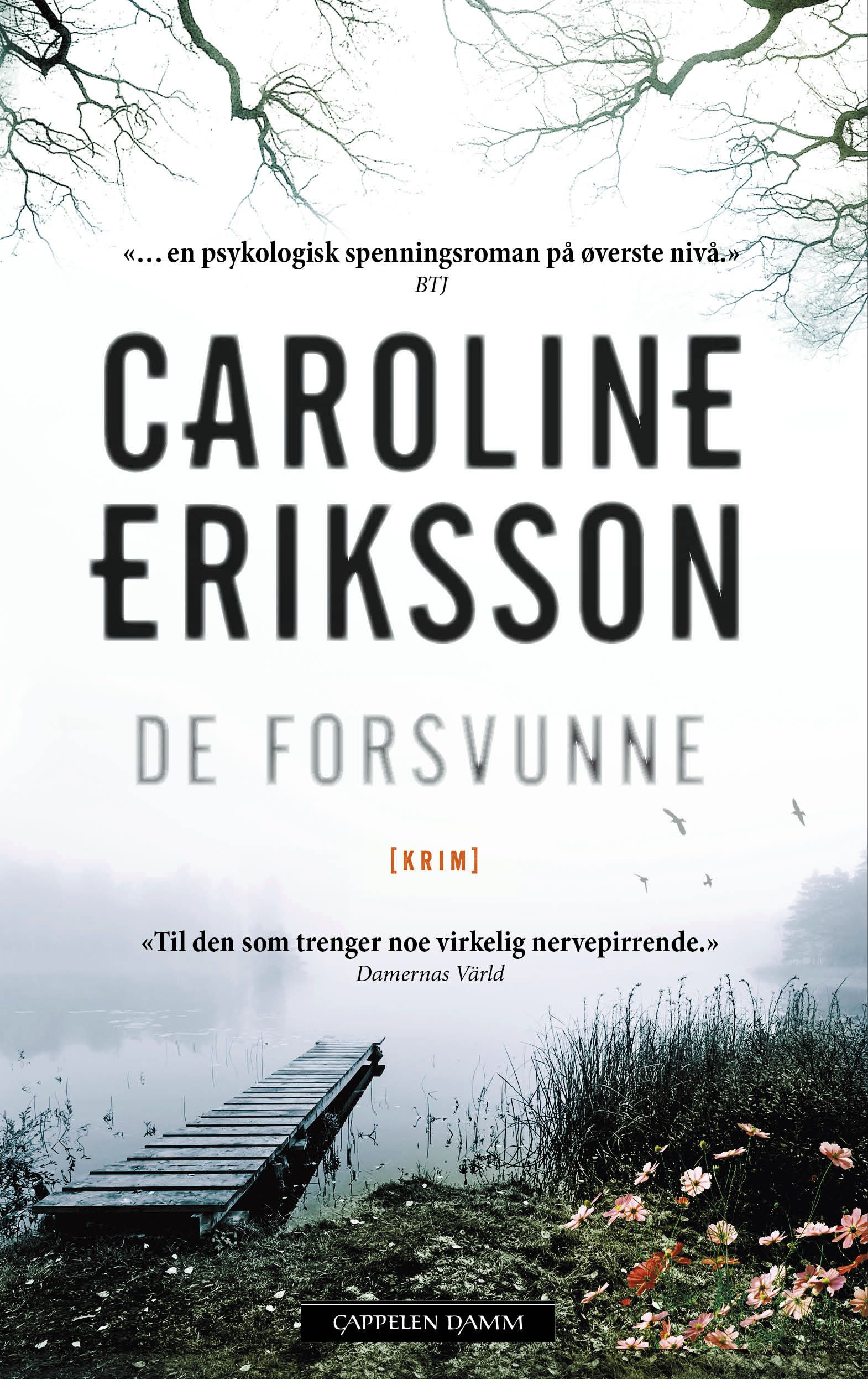 De forsvunne