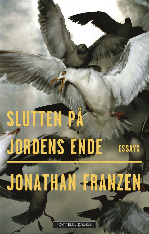 Slutten på jordens ende - essays