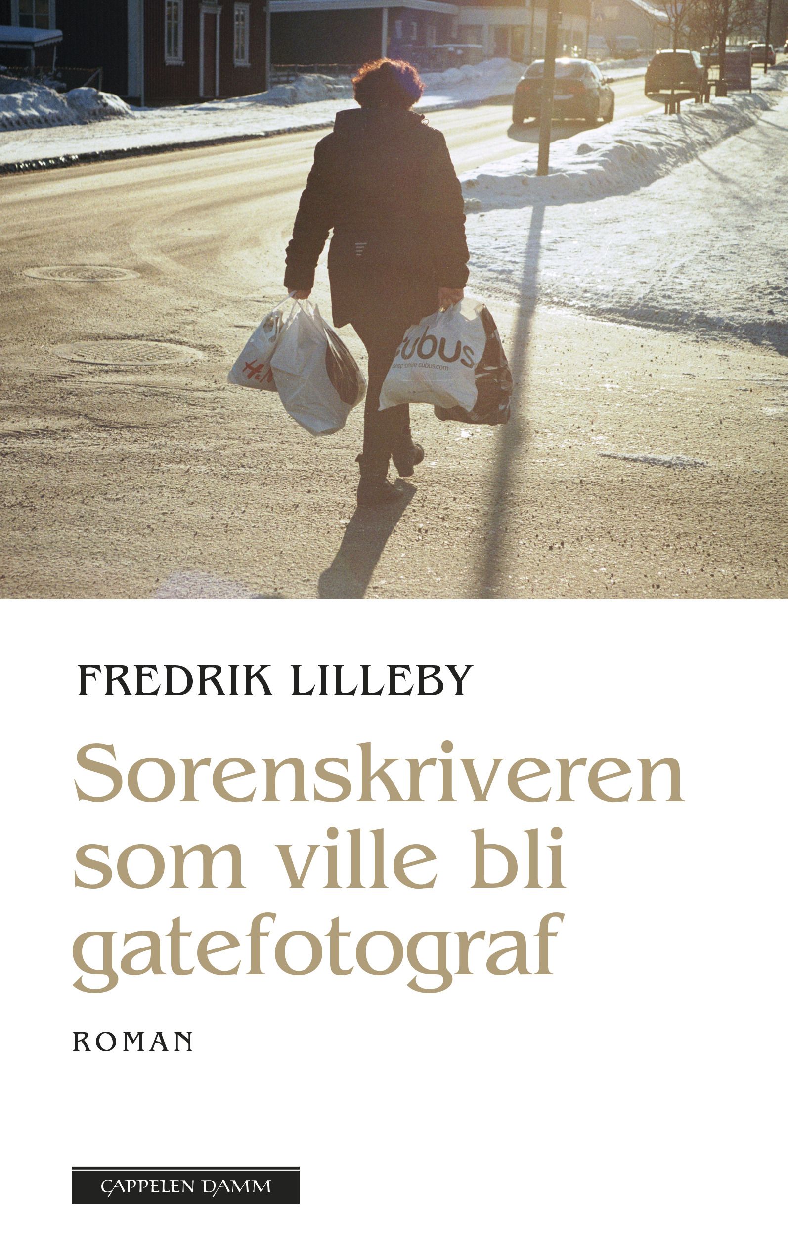 Sorenskriveren som ville bli gatefotograf - roman