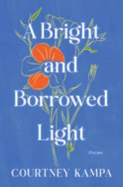 A Bright and Borrowed Light - Poems