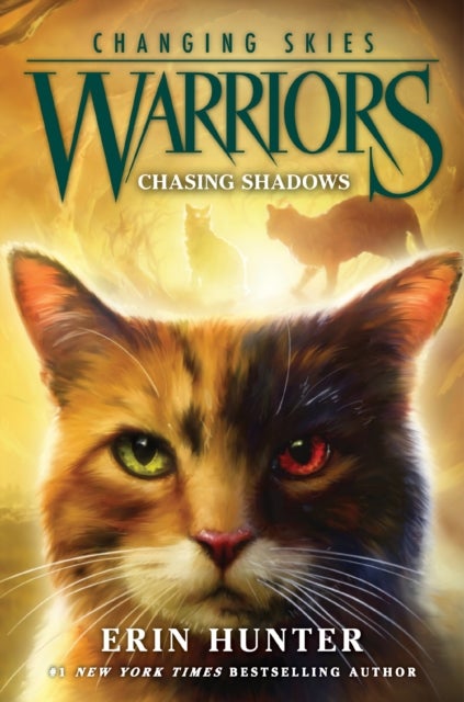Warriors: Changing Skies #3: Chasing Shadows