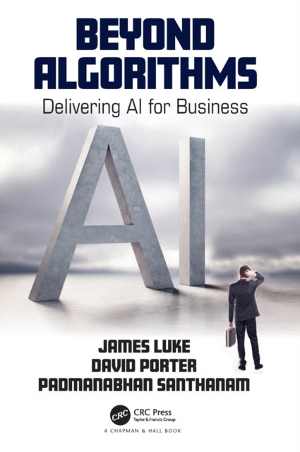 Beyond Algorithms - Delivering AI for Business