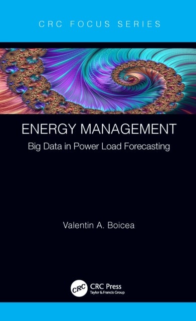 Energy Management - Big Data in Power Load Forecasting