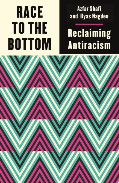 Race to the Bottom - Reclaiming Antiracism