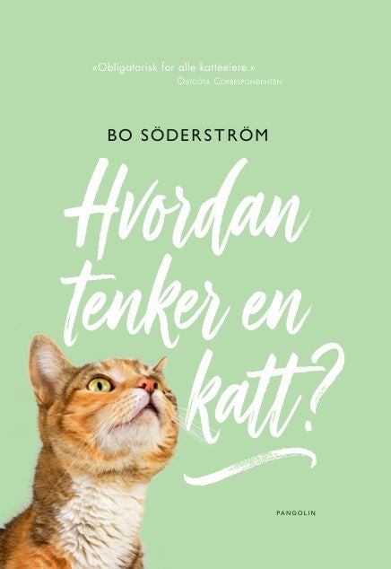Hvordan tenker en katt?