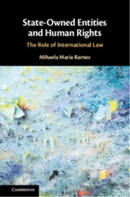 State-Owned Entities and Human Rights - The Role of International Law