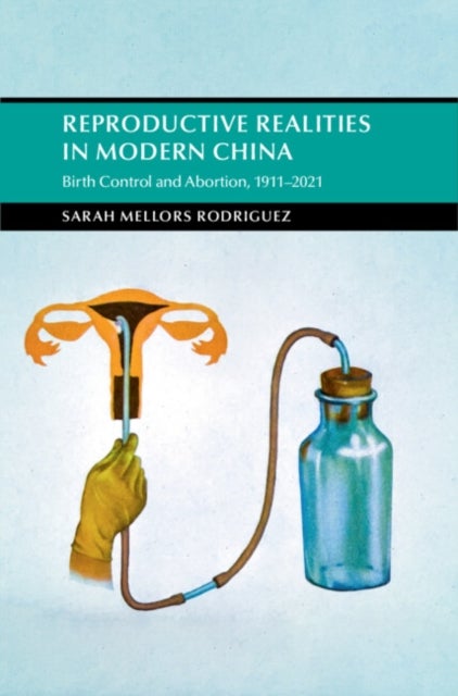Reproductive Realities in Modern China - Birth Control and Abortion, 1911–2021