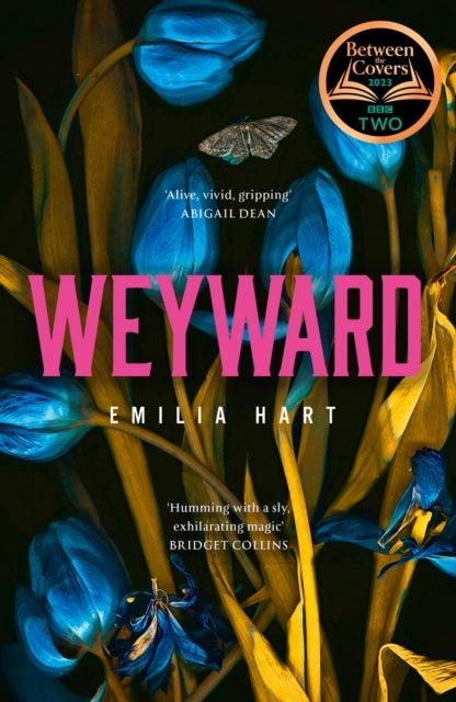 Weyward