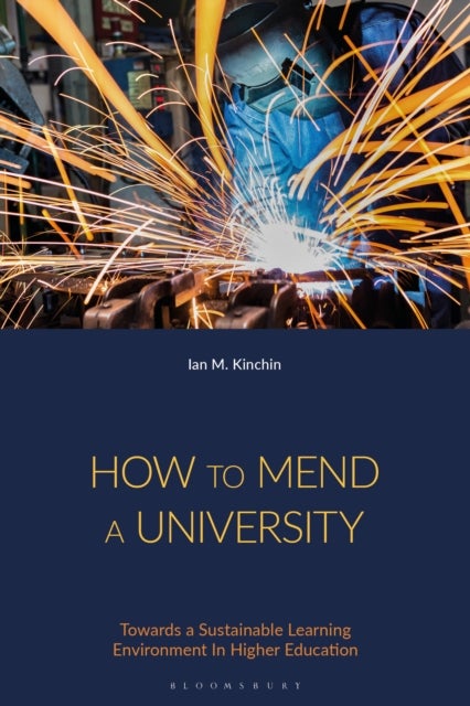 How to Mend a University - Towards a Sustainable Learning Environment In Higher Education