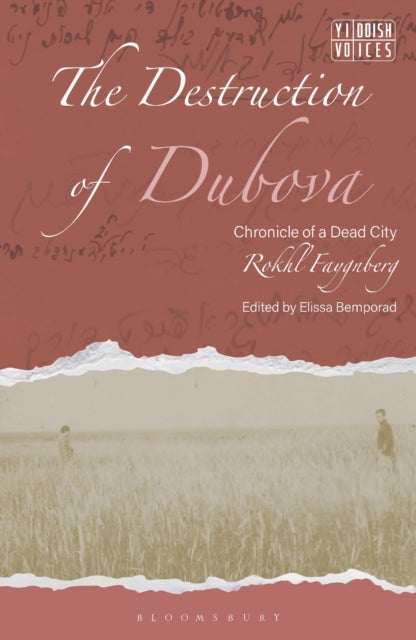 The Destruction of Dubova - Chronicle of a Dead City