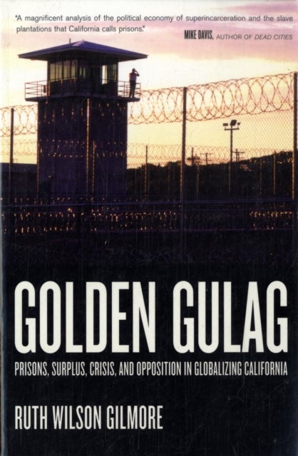 Golden Gulag - Prisons, Surplus, Crisis, and Opposition in Globalizing California