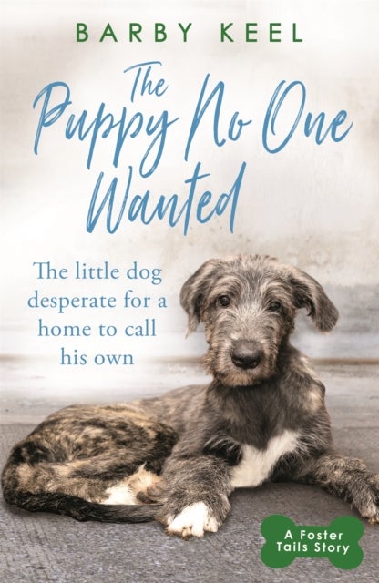 The Puppy No One Wanted - The young dog desperate for a home to call his own