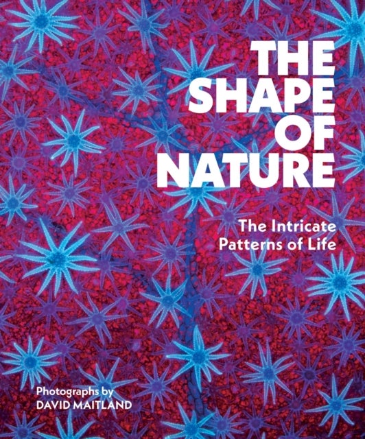 The Shape of Nature - The Intricate Patterns of Life