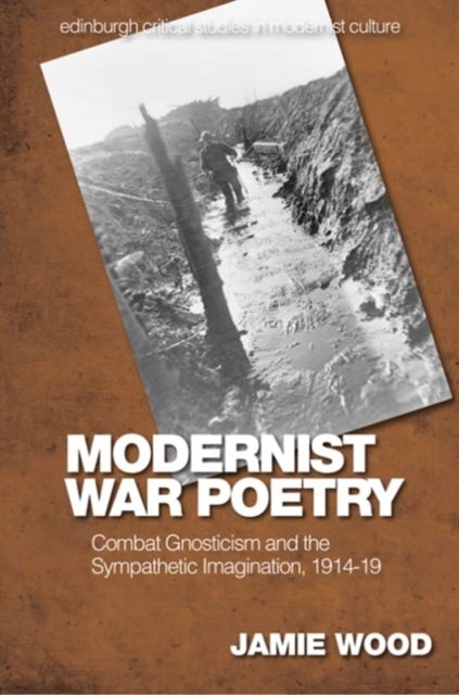Modernist War Poetry - Combat Gnosticism and the Sympathetic Imagination, 1914–19