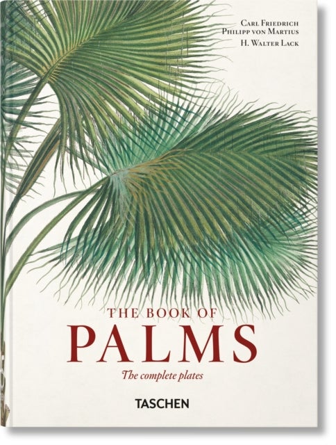 Martius. The Book of Palms. 40th Ed. av H. Walter Lack