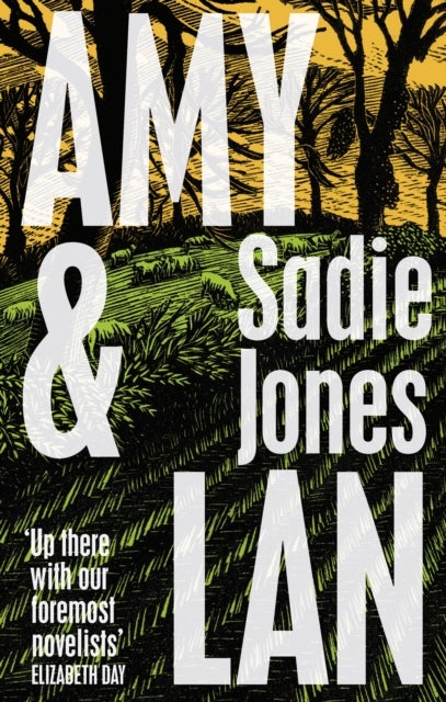 Amy and Lan - The Enchanting New Novel by the No. 1 Bestselling Author of The Outcast
