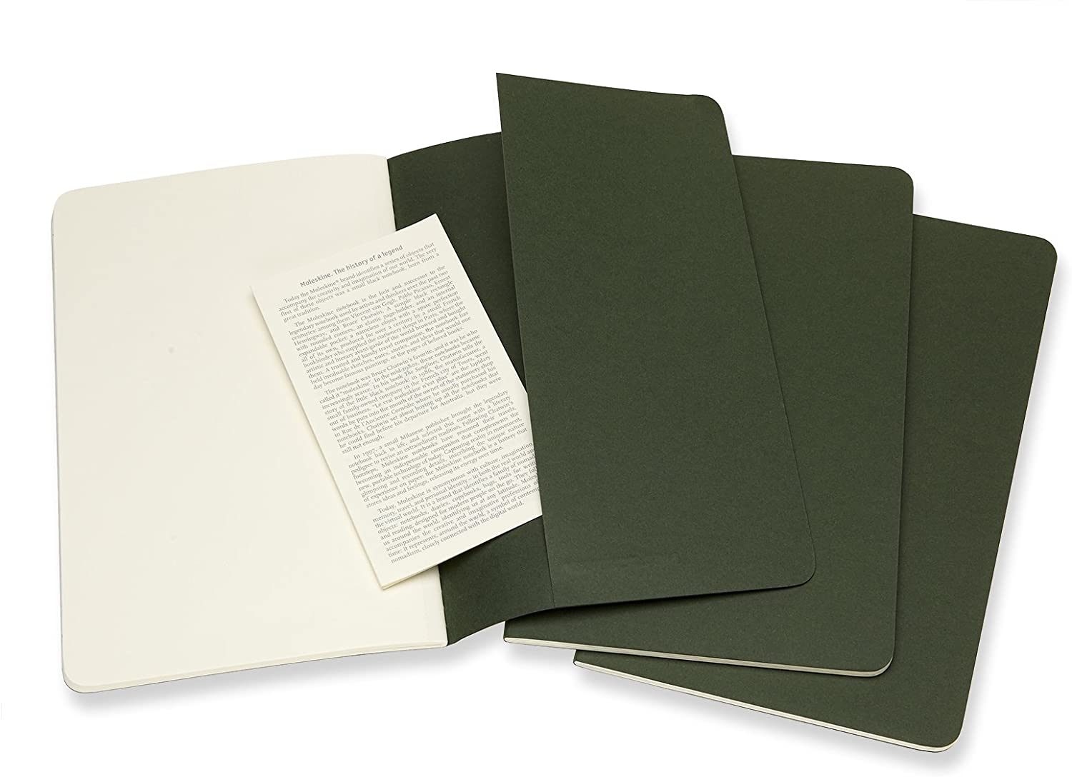 Moleskine Cahier Journal Large Ulinjert Myrtle Green
