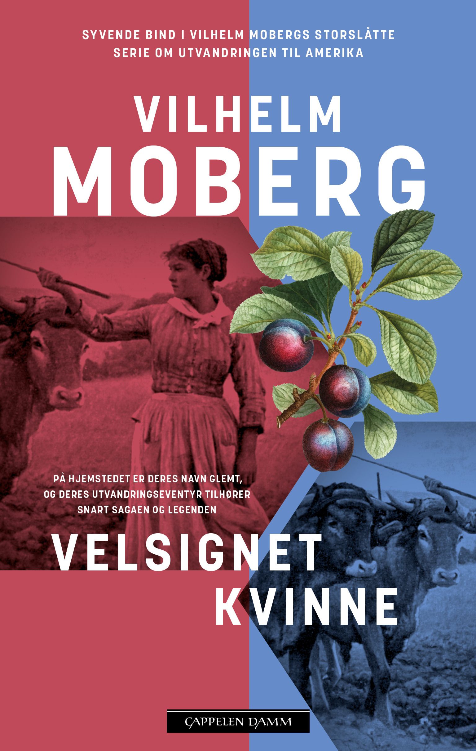 Velsignet kvinne - siste brevet hjem 1