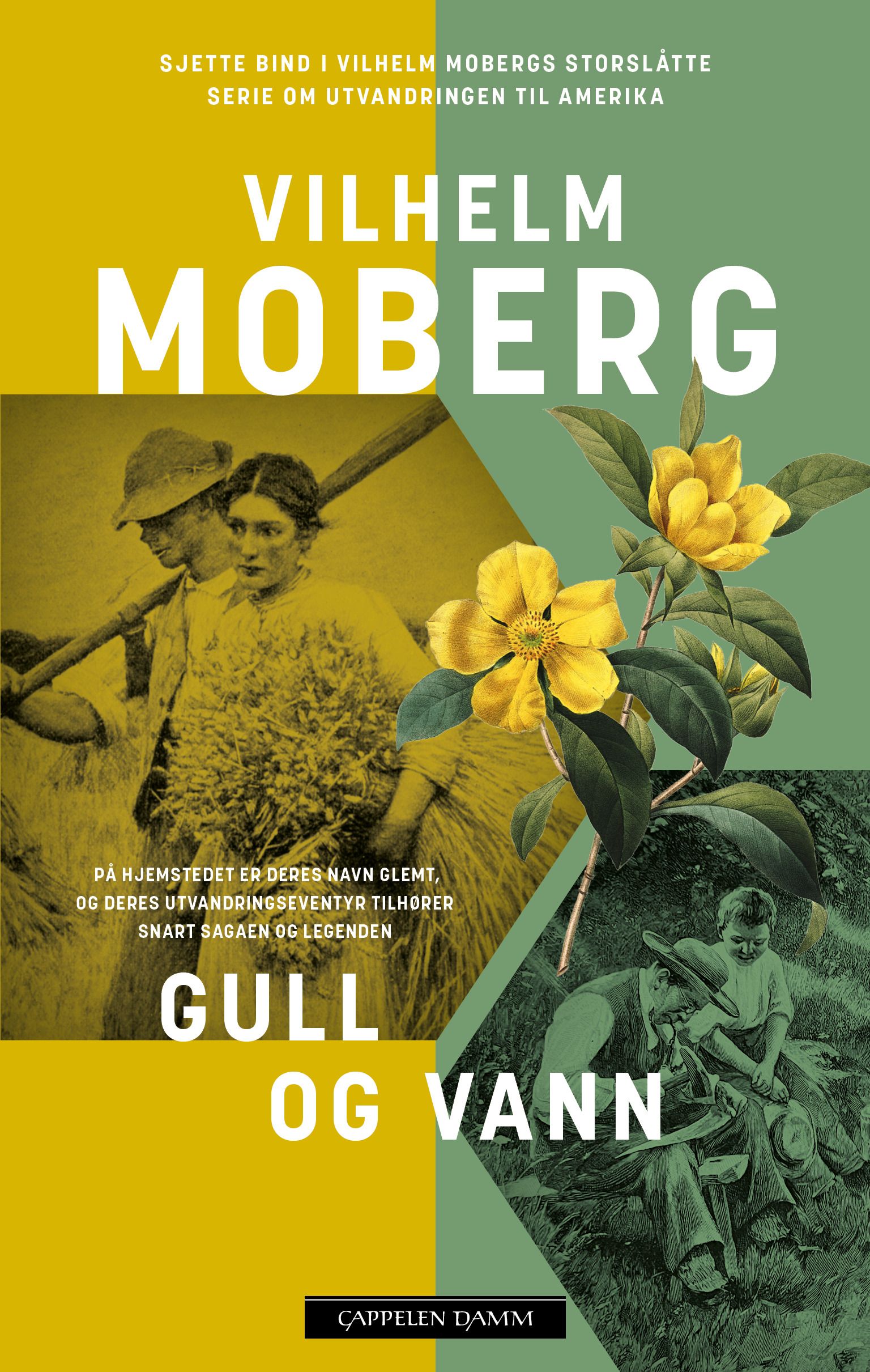 Gull og vann - nybyggerne 2
