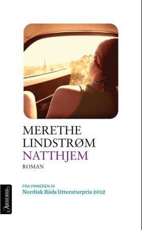 Natthjem - roman