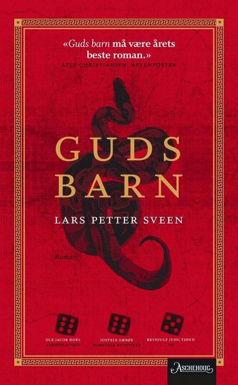 Guds barn - roman