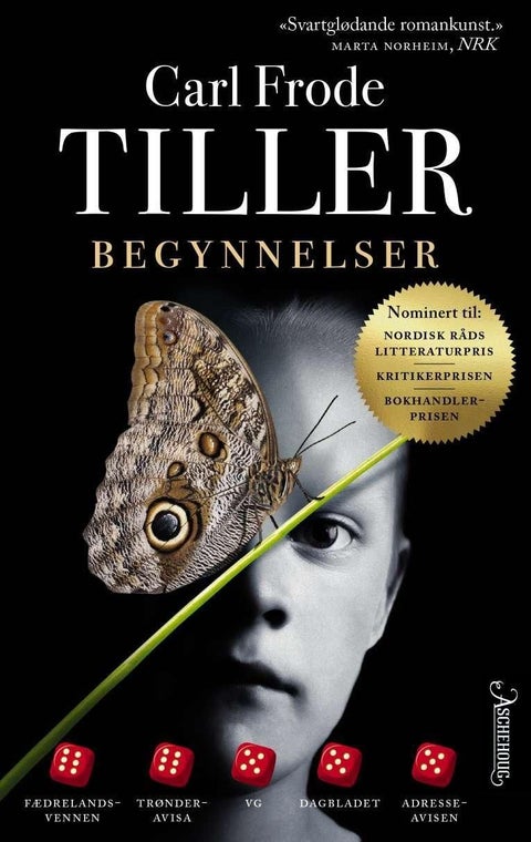 Begynnelser - roman