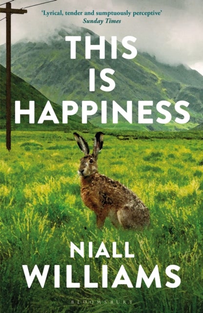 This Is Happiness - By the author of Four Letters of Love, now a major film starring Helena Bonham Carter and Pierce Brosnan