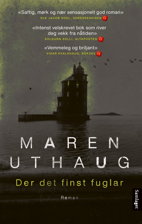 Der det finst fuglar - roman