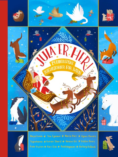 Jula er her! - 24 fantastiske julehistorier for barn