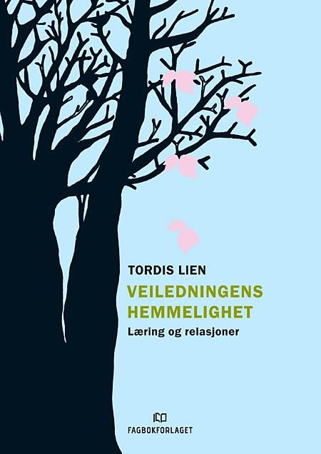 Veiledningens hemmelighet - læring og relasjoner