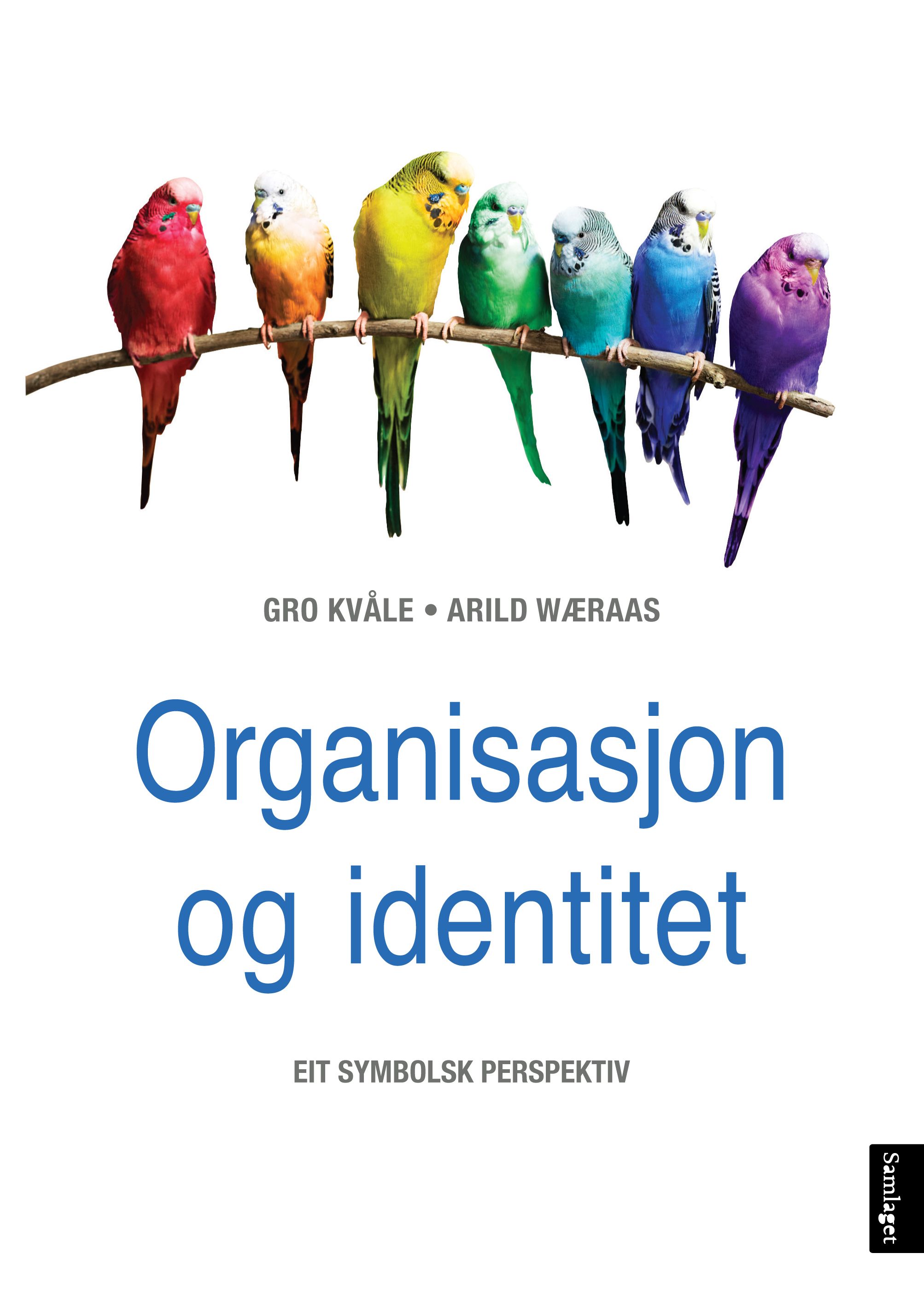Organisasjon og identitet - eit symbolsk perspektiv