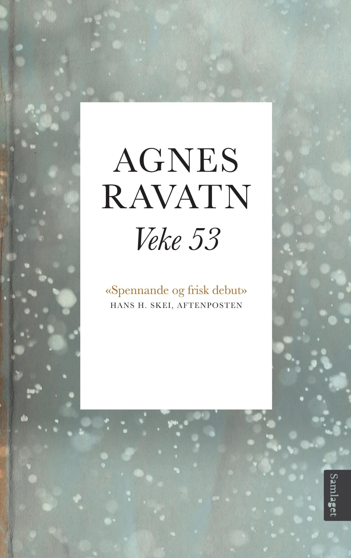 Veke 53 - roman