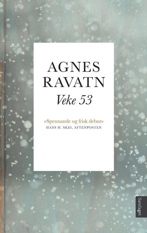 Veke 53 - roman