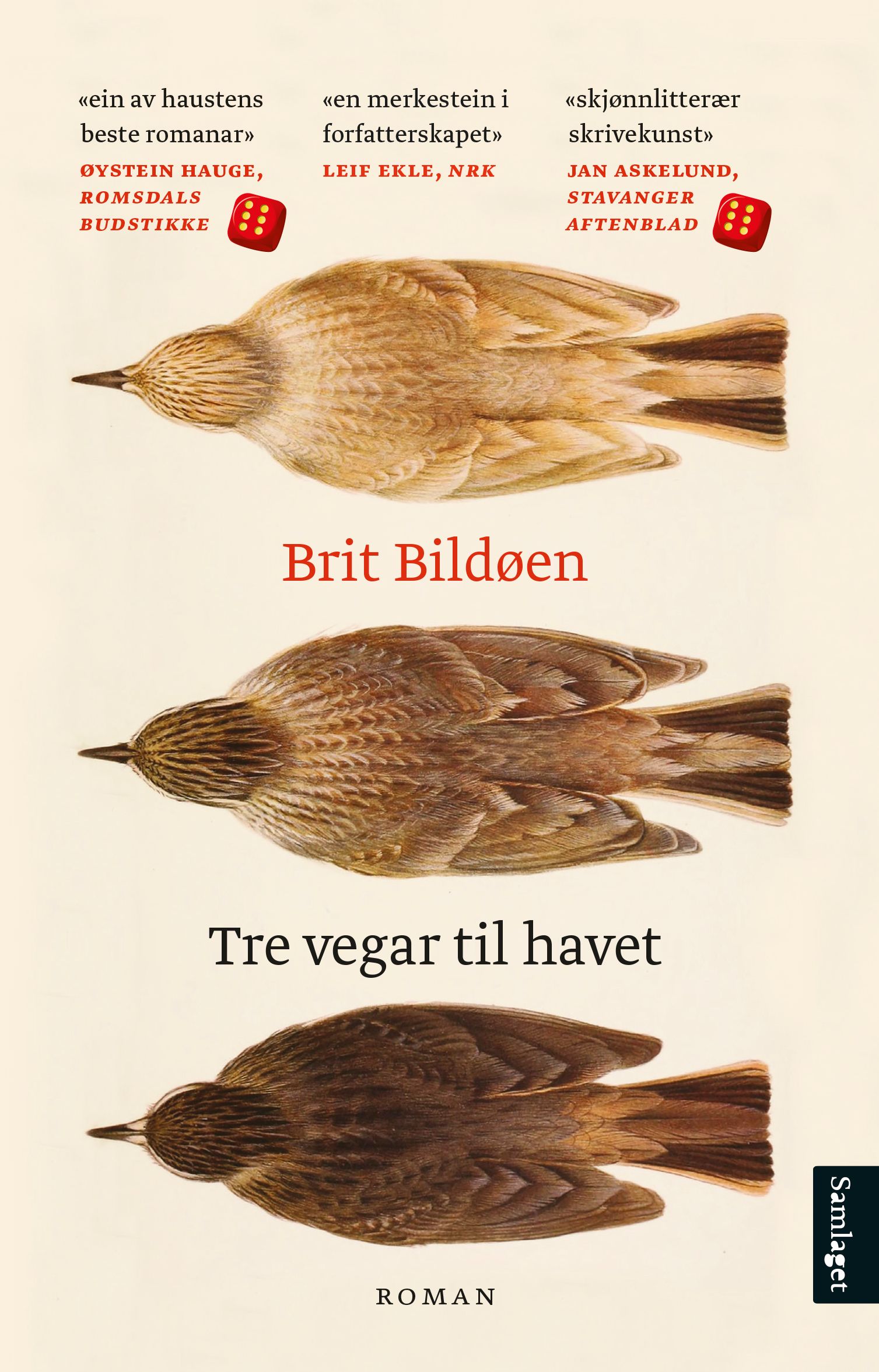 Tre vegar til havet - roman