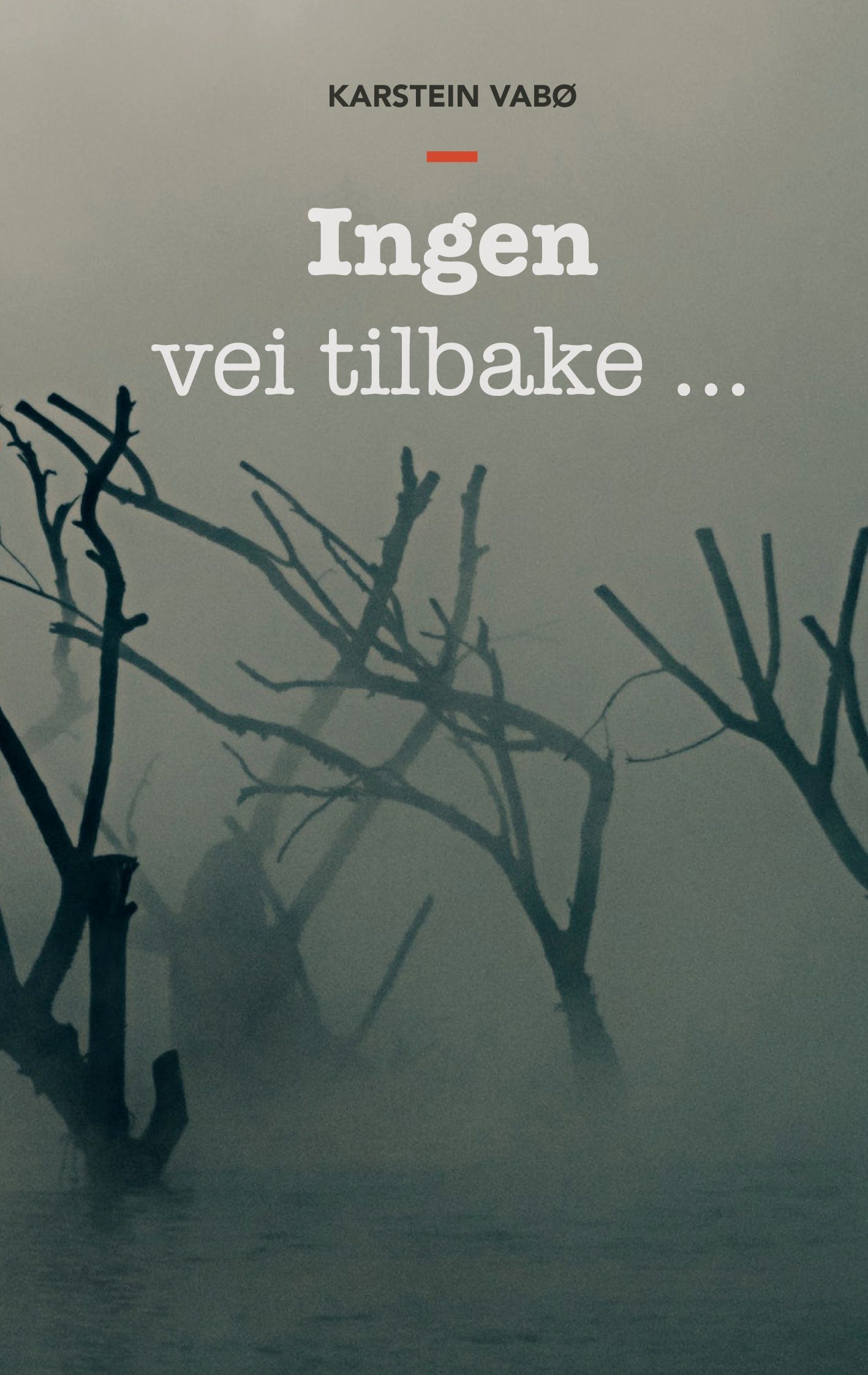 Ingen vei tilbake... - en biografisk roman