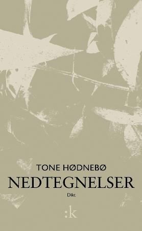 Nedtegnelser - dikt