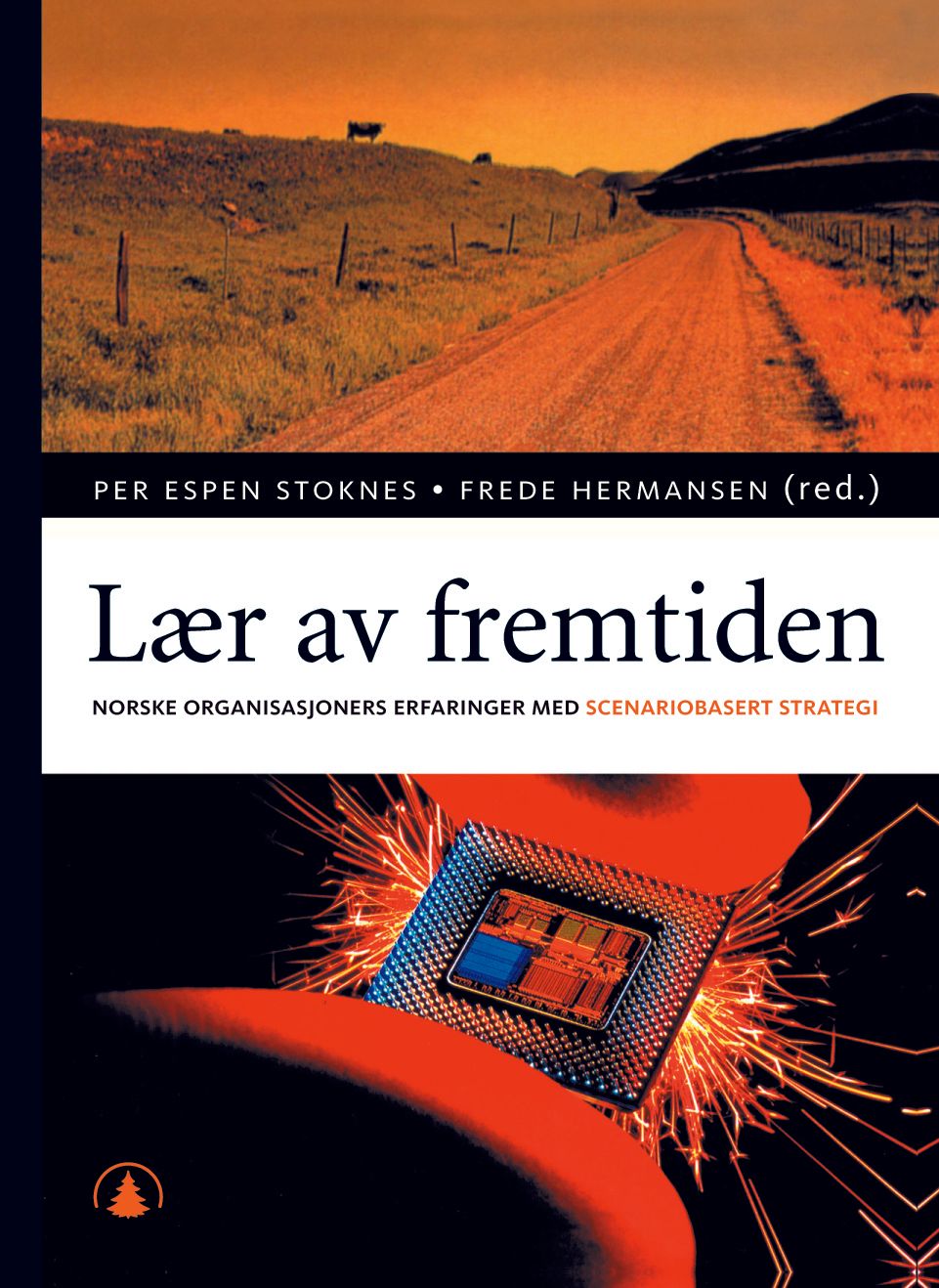 Lær av fremtiden - norske organisasjoners erfaringer med scanariobasert strategi