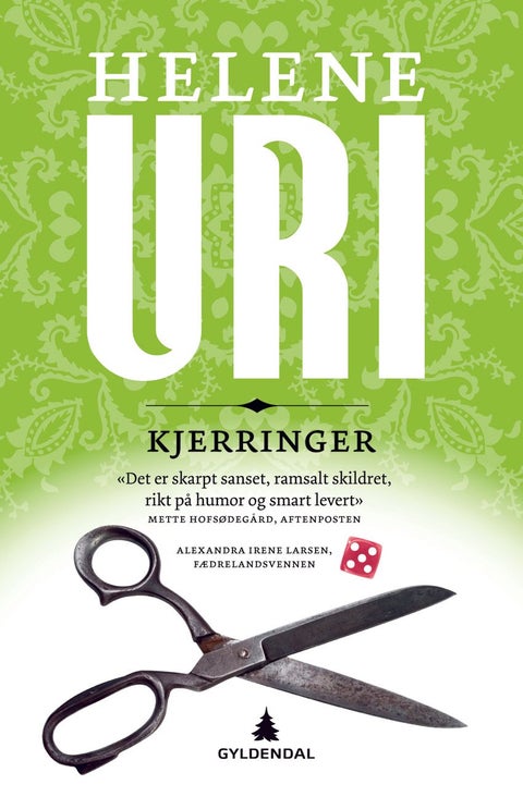 Kjerringer - roman