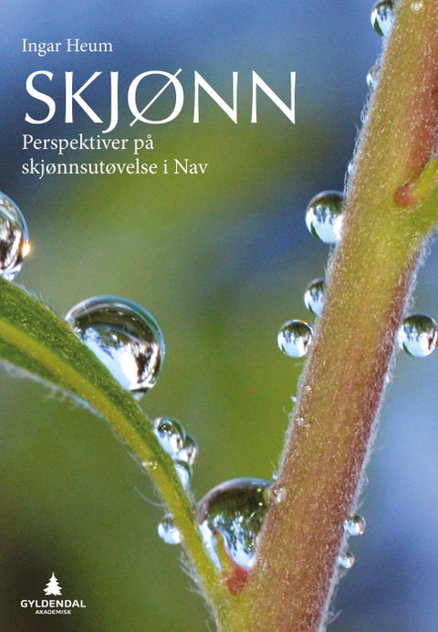 Skjønn - perspektiver på skjønnutøvelse i NAV