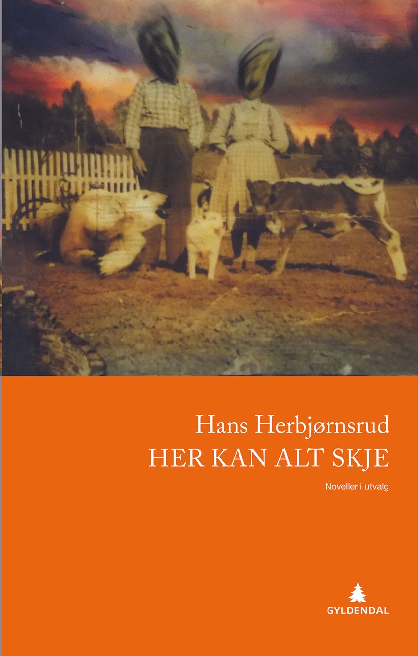 Her kan alt skje - noveller i utvalg