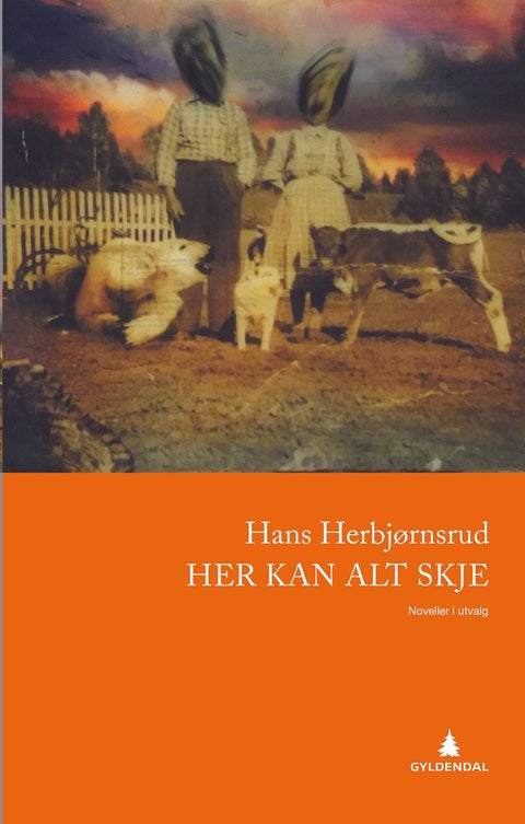 Her kan alt skje - noveller i utvalg