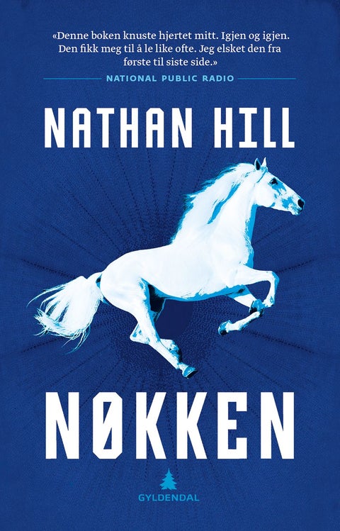 Nøkken