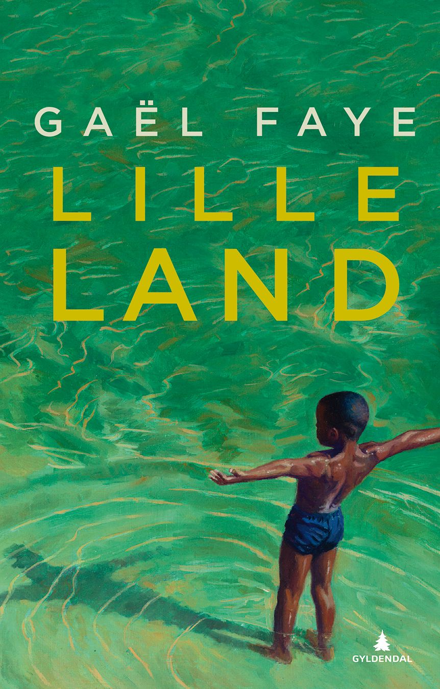 Lille land - roman