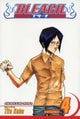 Bleach, Vol. 4